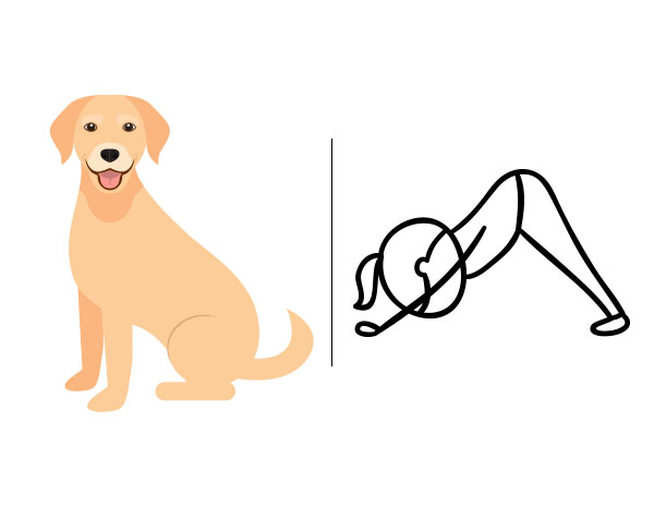 Dog Pose