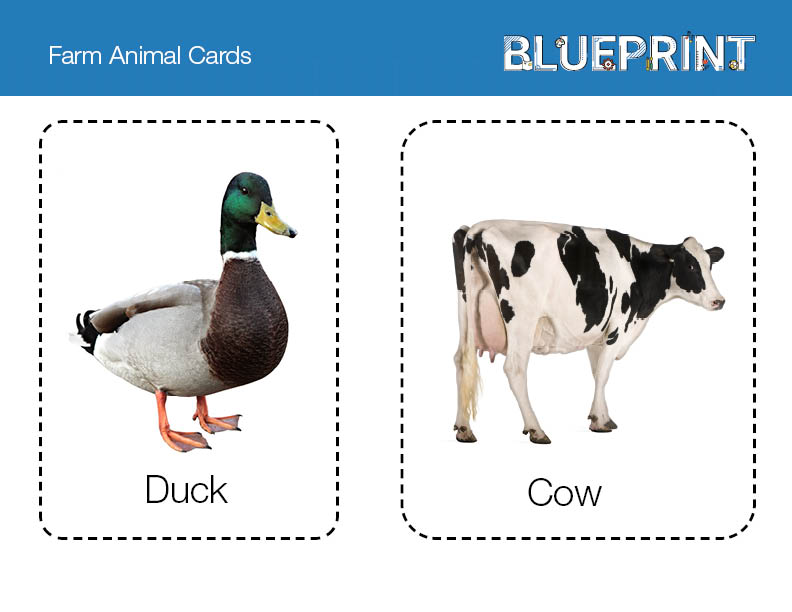 Farm Animal Cards