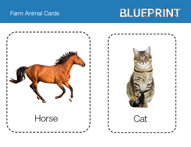 Farm Animal Cards