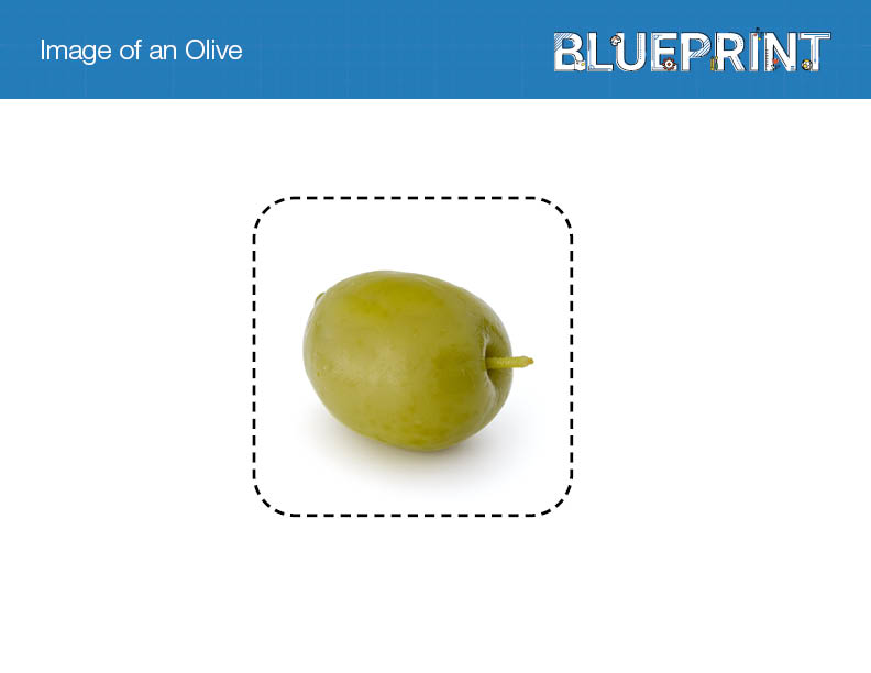 Image of an Olive