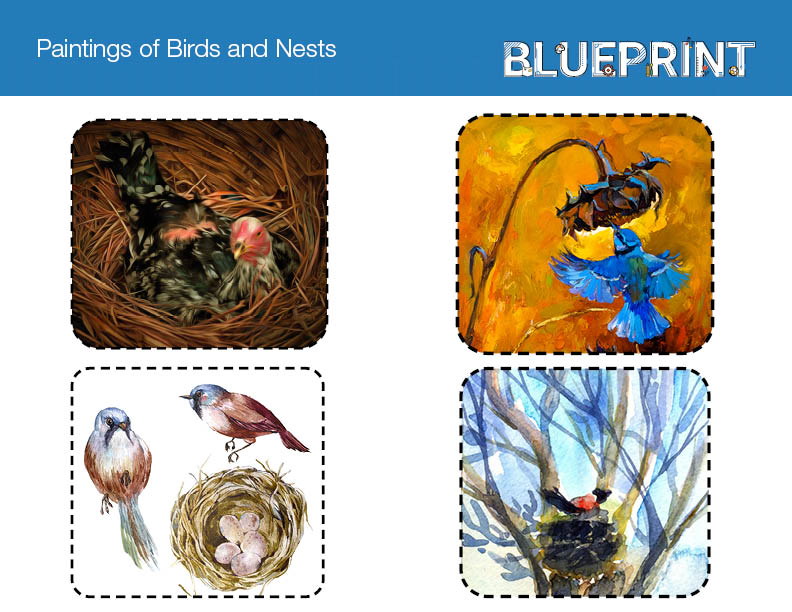 Paintings of Birds and Nests