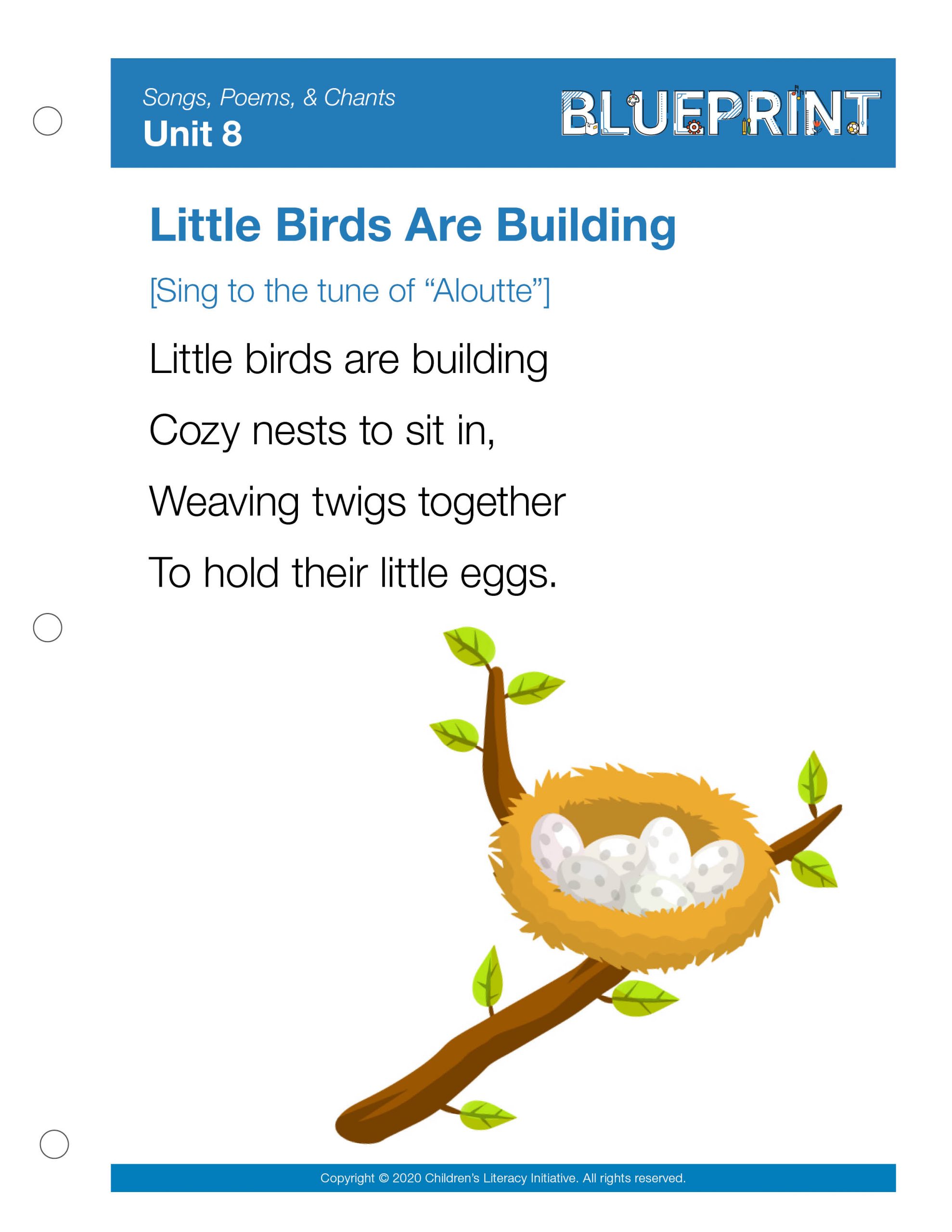 Little Birds are Building Week 3
